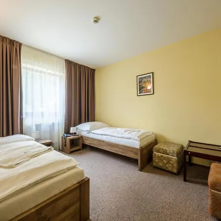 Park Hotel *